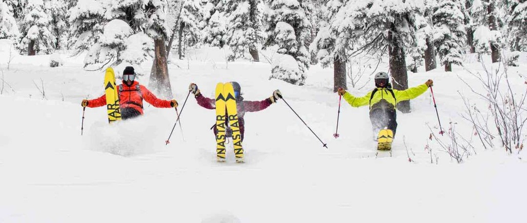 Ski Dynastar M-Free 99 2022