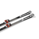 Ski Nordica Dobermann Gs Race Plate 2025 