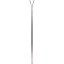 Ski Majesty Havoc 100 Carbon 2025 